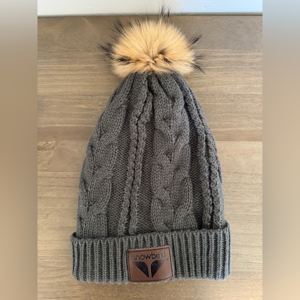 Gray Knit Beanie Hat Pom Winter Snow Head Cover Warm Soft Capsule Basics OS